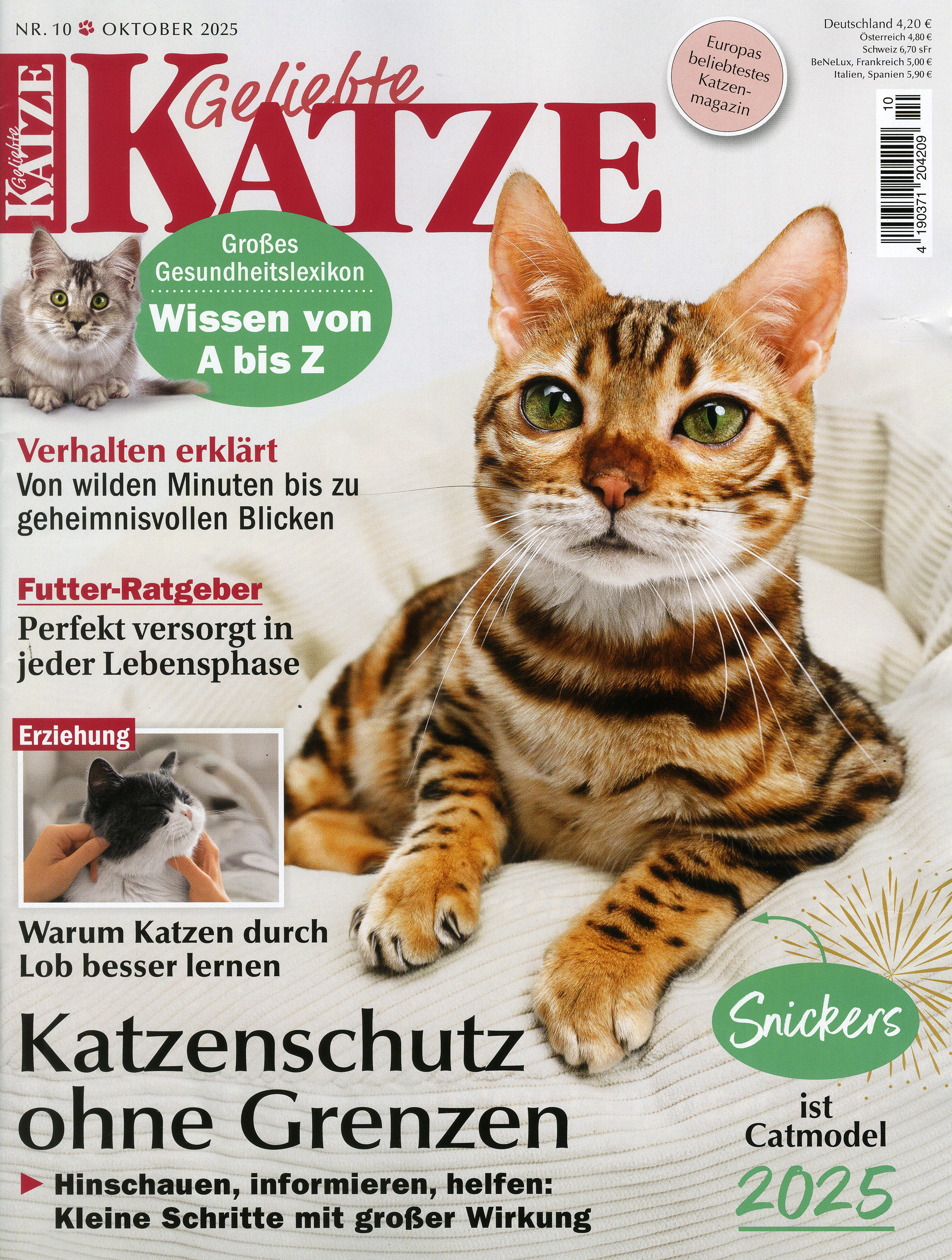 Geliebte Katze-Wunschabo