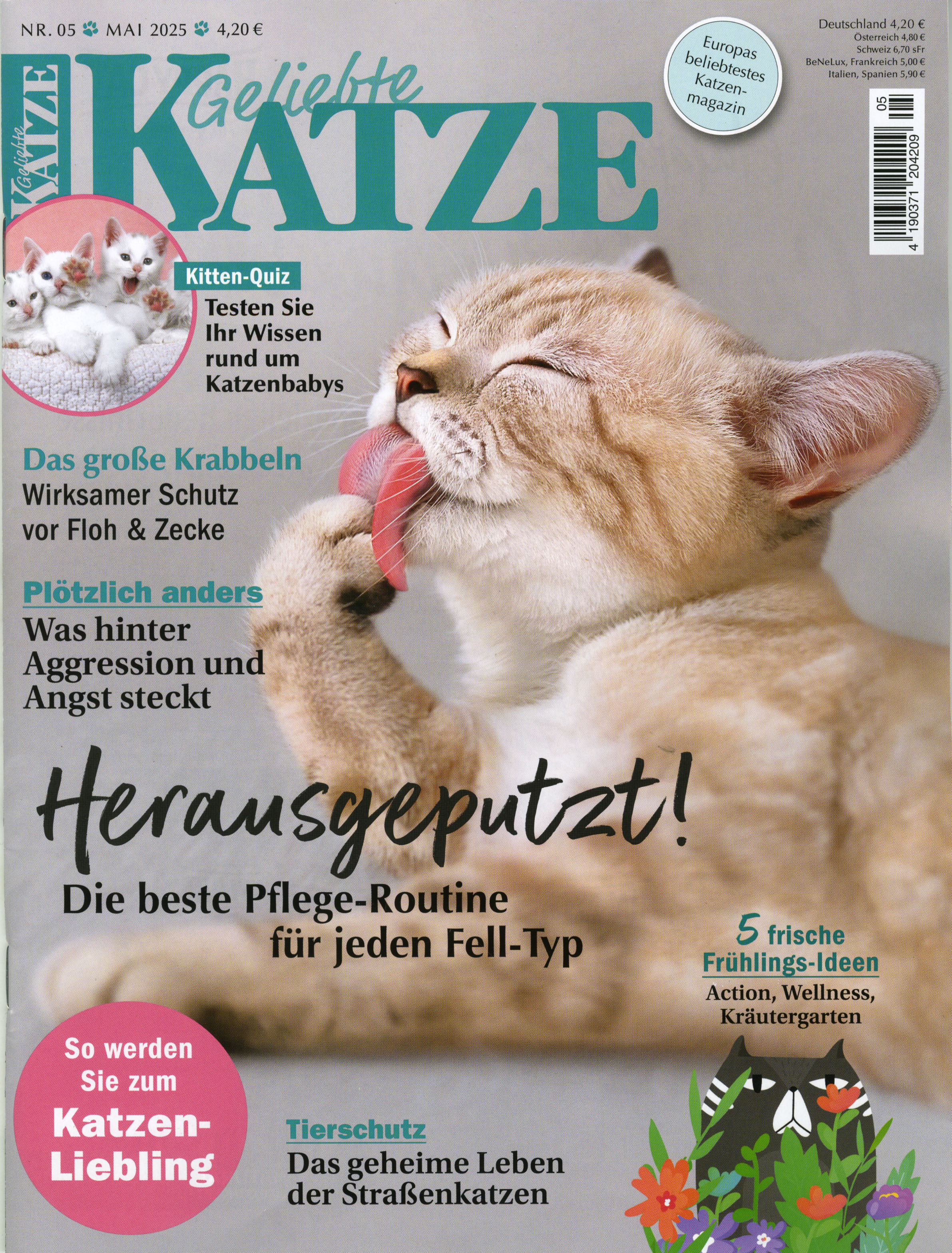 Geliebte Katze-Wunschabo