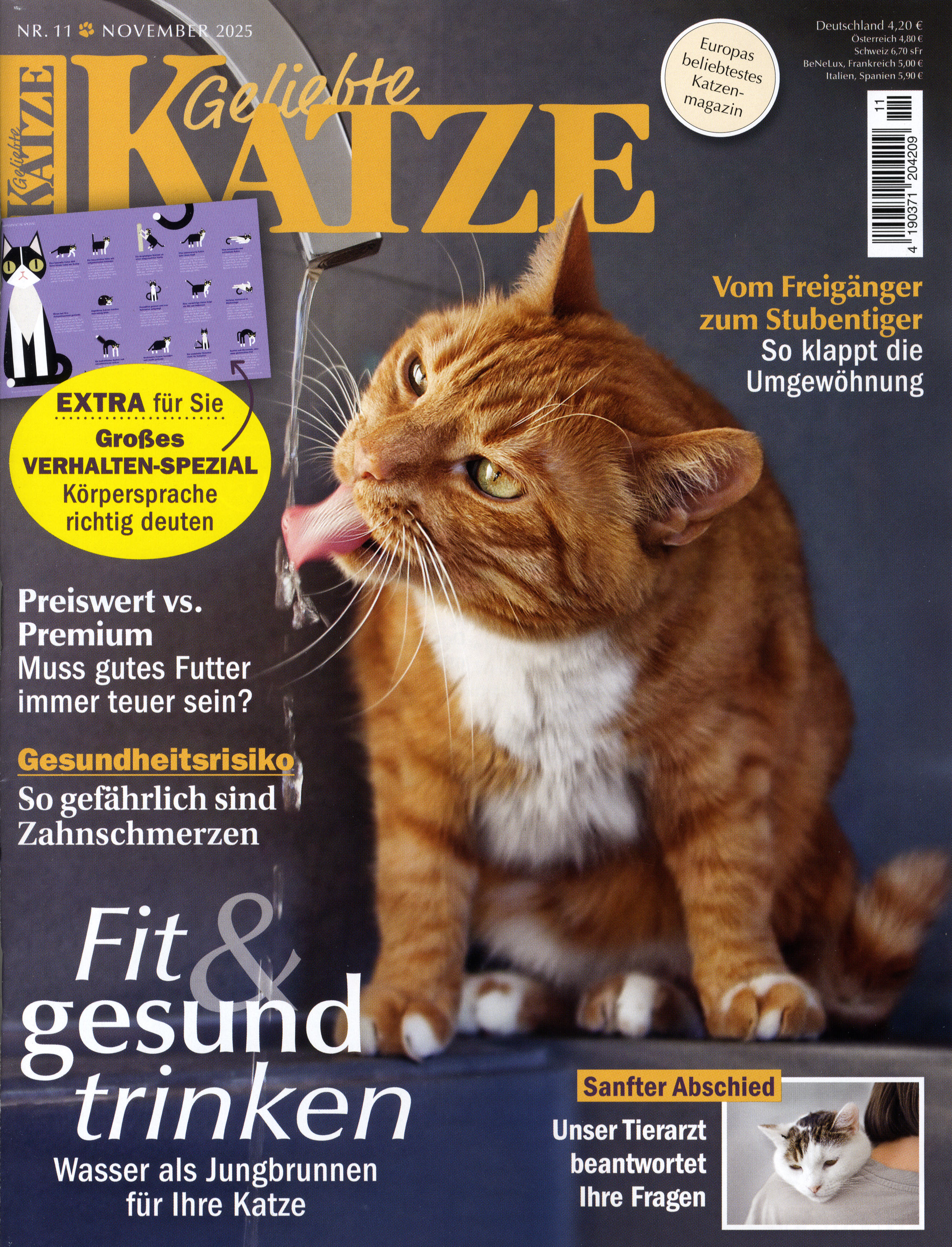Geliebte Katze-Wunschabo