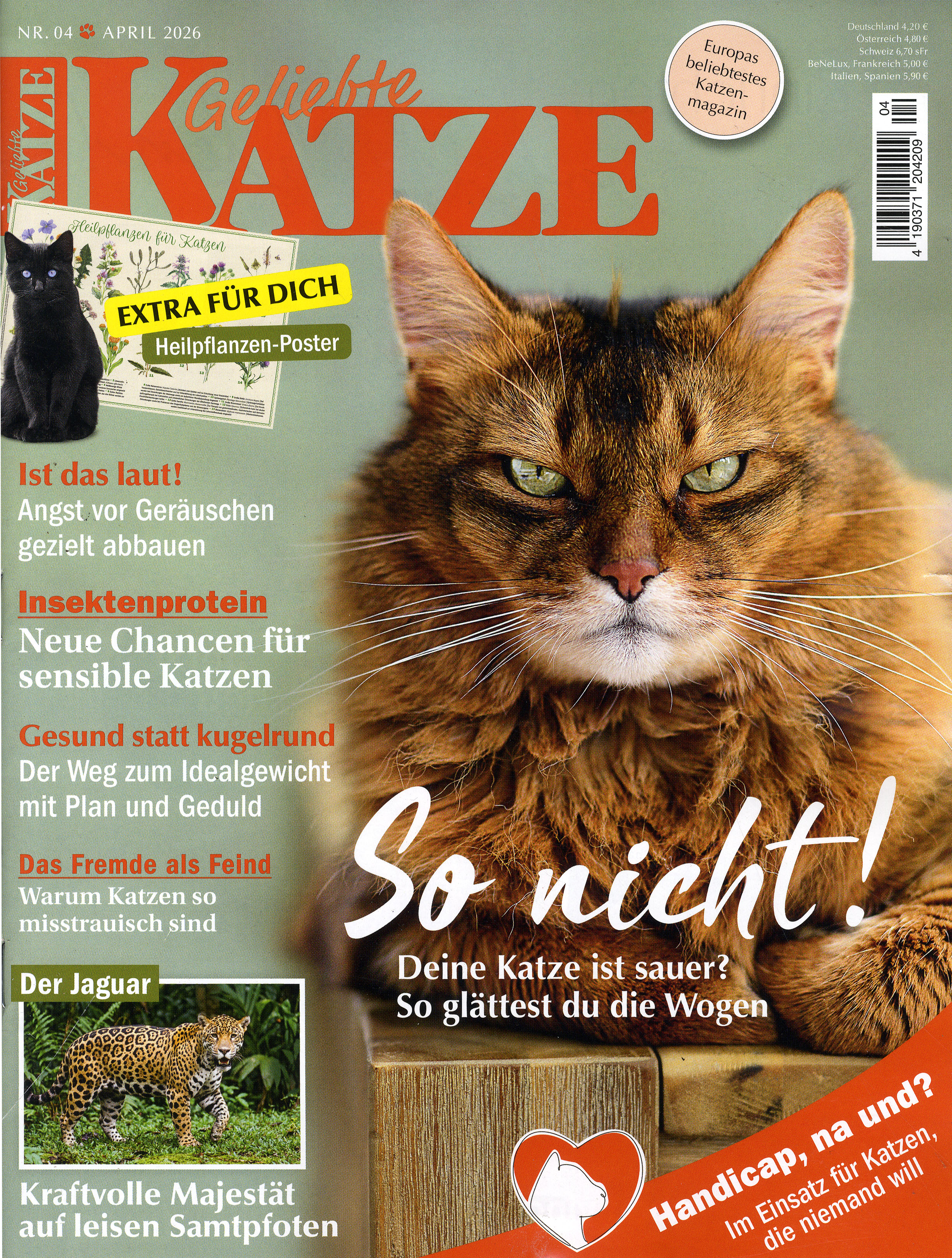 Geliebte Katze-Wunschabo