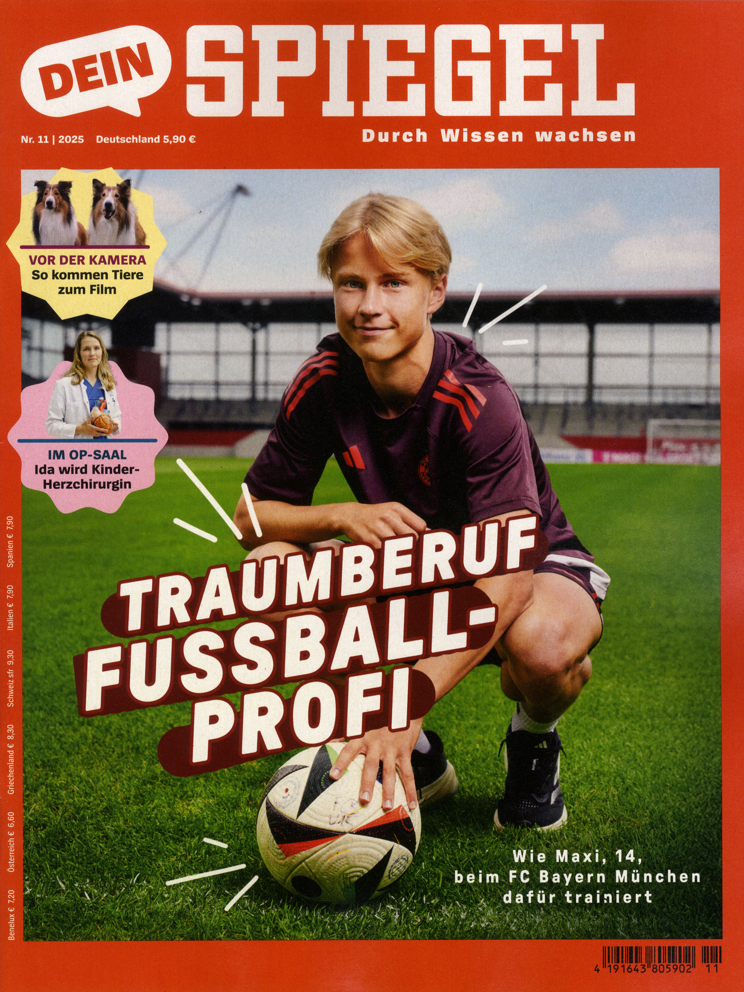 Dein Spiegel-Wunschabo