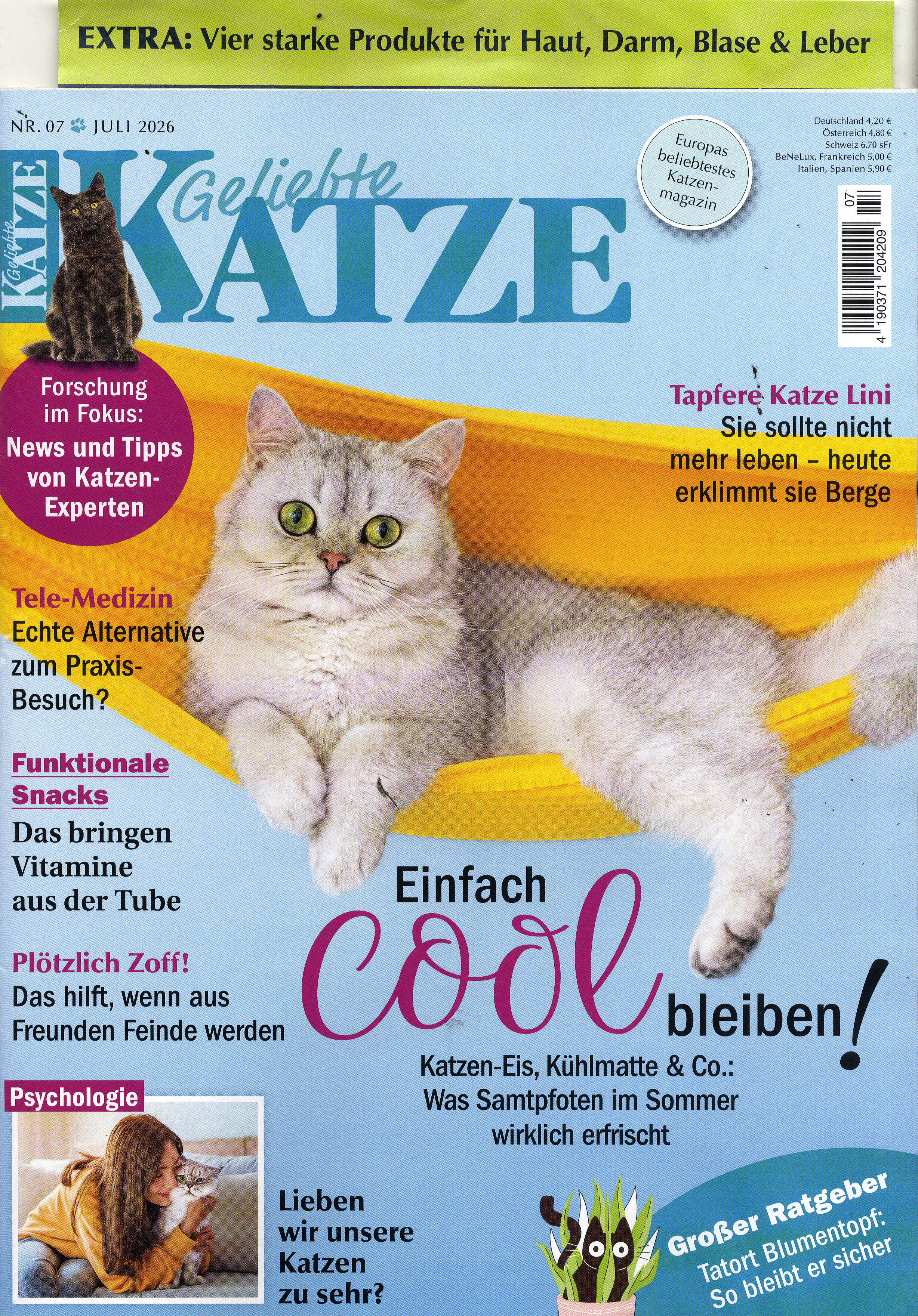 Geliebte Katze-Wunschabo
