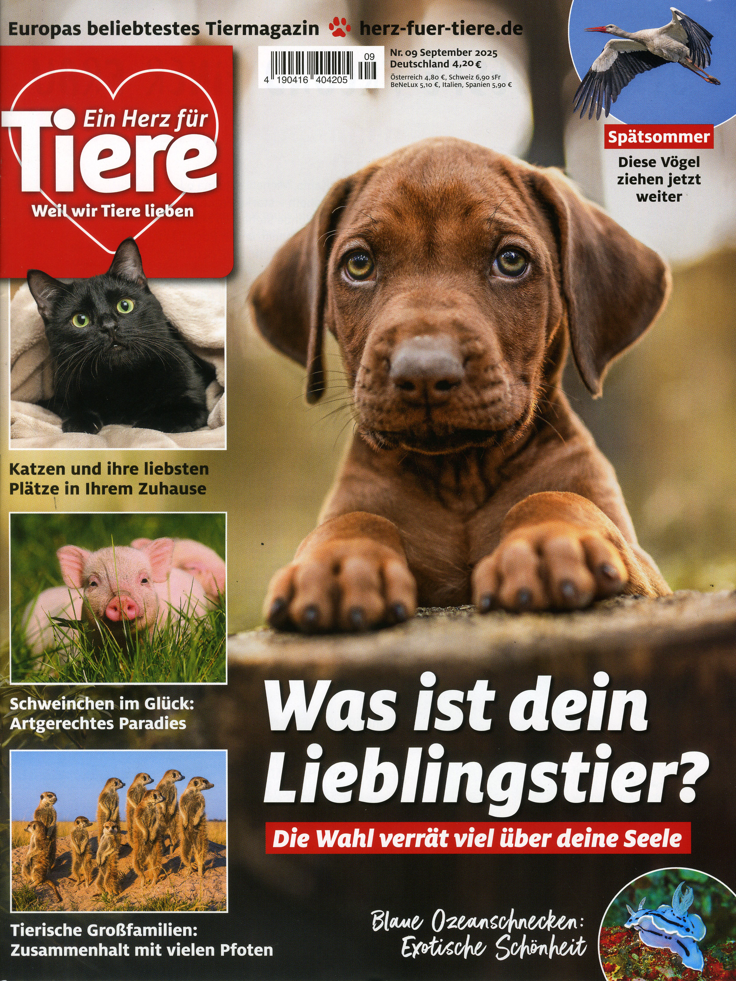 Ein Herz für Tiere -Geschenkabo