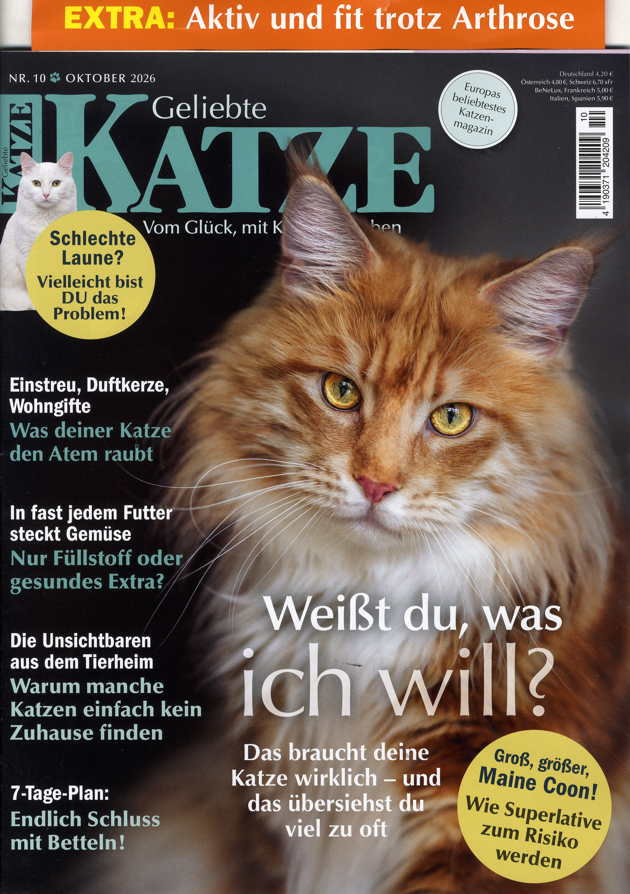 Geliebte Katze-Wunschabo