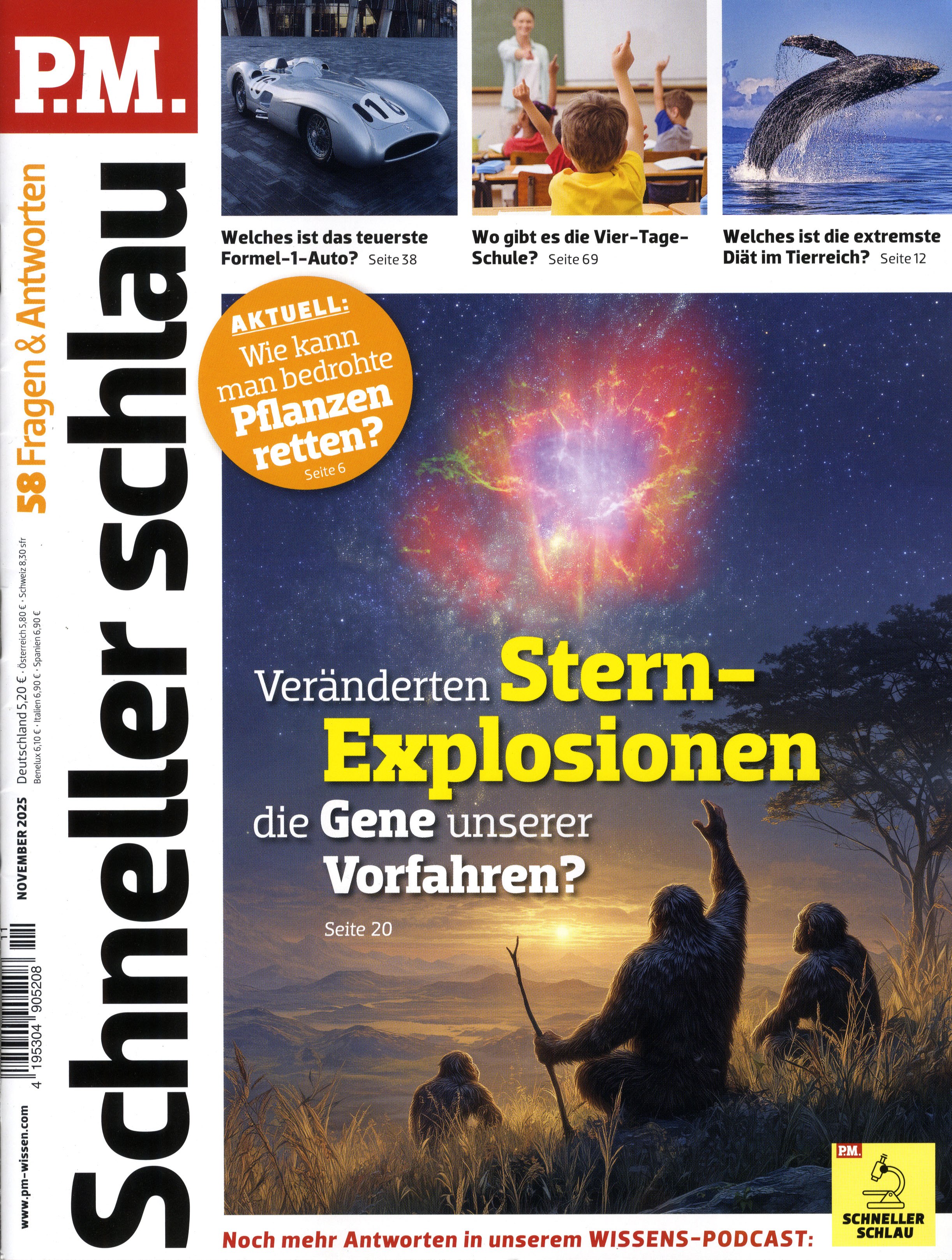 P.M. Schneller schlau - Halbjahresabo als Geschenk