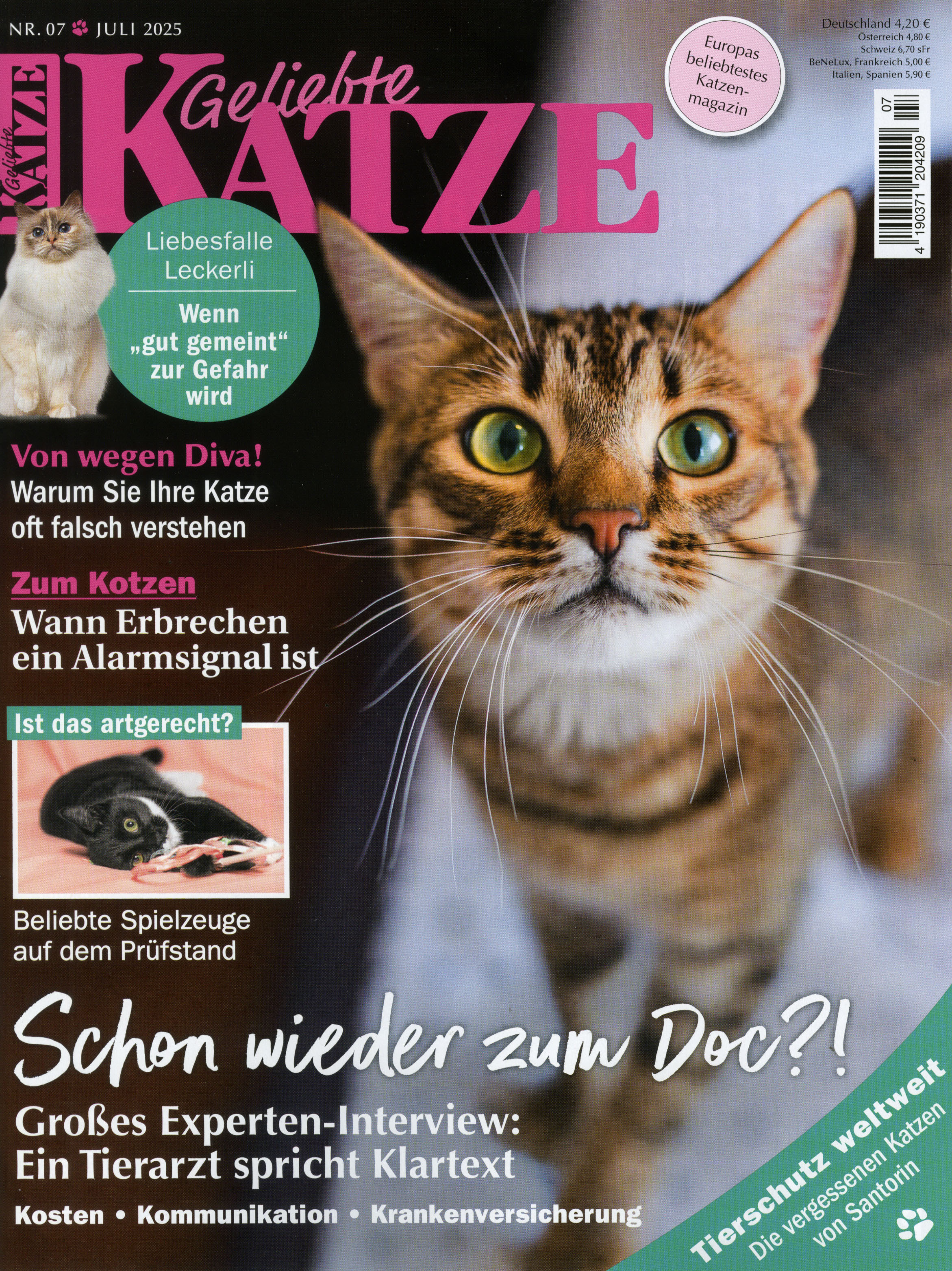 Geliebte Katze-Wunschabo