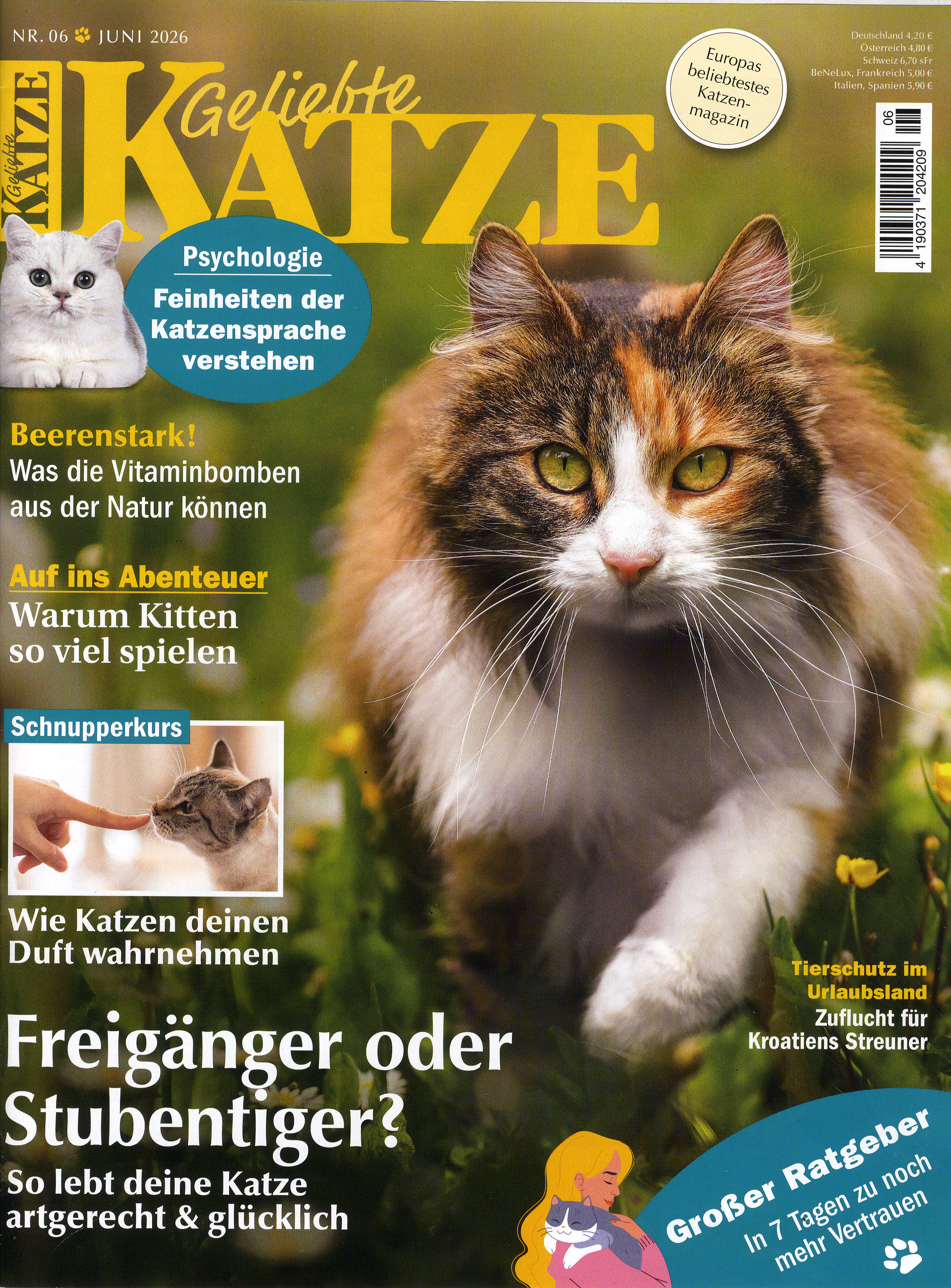 Geliebte Katze-Wunschabo