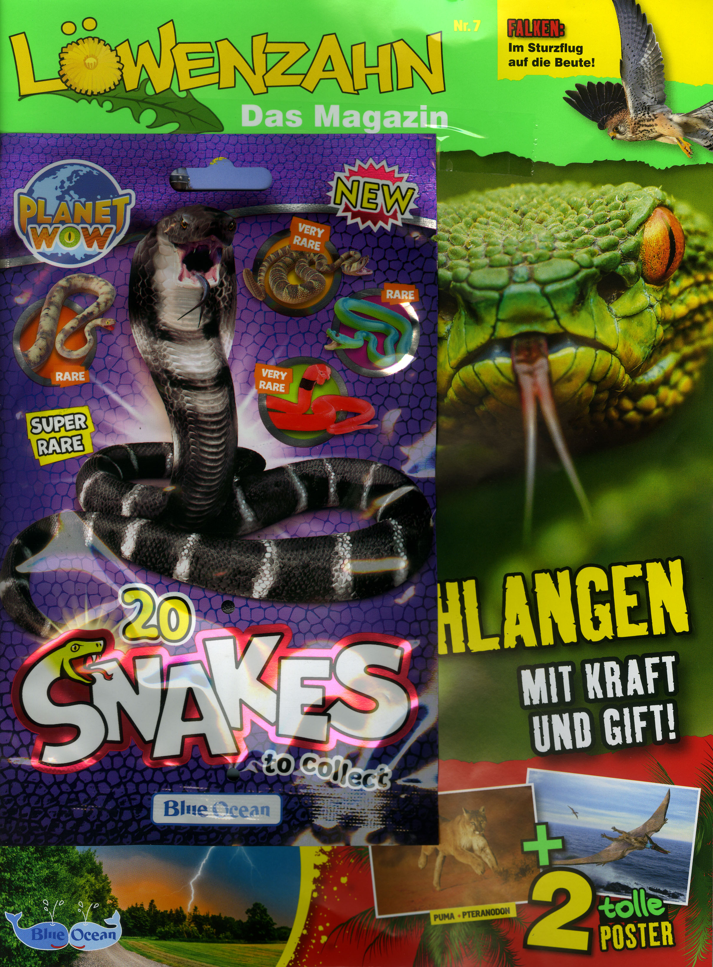 Löwenzahn-Wunschabo